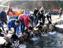 蒼南縣增殖放流淡水魚(yú)種苗冬片、淡水魚(yú)水花1.35萬(wàn)公斤