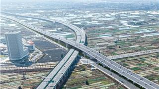 龍港228國(guó)道，要建高架了！