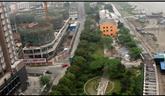 空中看龍港：江濱北路外灘綠化帶 （溫州市民監(jiān)督團(tuán)成員、公益航拍師陳斌 攝）