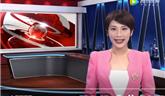 黨代表心聲丨聽聽他們對(duì)龍港市未來發(fā)展的期待