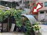 龍港西城路后停車場見僵尸車