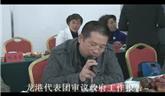 龍港代表團(tuán)審議政府工作報告
