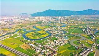 事關(guān)龍港市生態(tài)文明建設(shè)！全市征集→