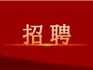 2023年龍港市線上設計專場招聘會