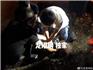 獨家：蒼南一男子酒后在沙灘上閑逛  遭海浪卷走而溺亡