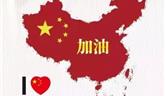 謝謝你，疫情中的最美逆行者 ——龍港朗協(xié)