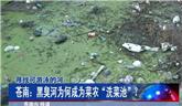 龍港黑臭河為何成為菜農(nóng)“洗菜池”？