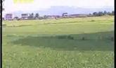 農(nóng)業(yè)經(jīng)濟(jì)發(fā)展局抓黨員先進(jìn)性教育促農(nóng)業(yè)增效，農(nóng)民增收