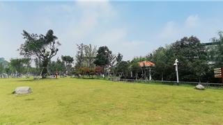 新媒體看蒼南走進金鄉(xiāng)---迎旭島親水公園