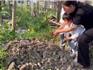龍港市康樂國際幼兒園 馮鈺涵 愛勞動