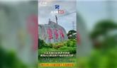 龍港預(yù)計9月15日前完成十大場景 打造美麗宜居的鄉(xiāng)村環(huán)境！
